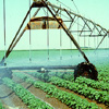 Agricultural Water Conservation Loans